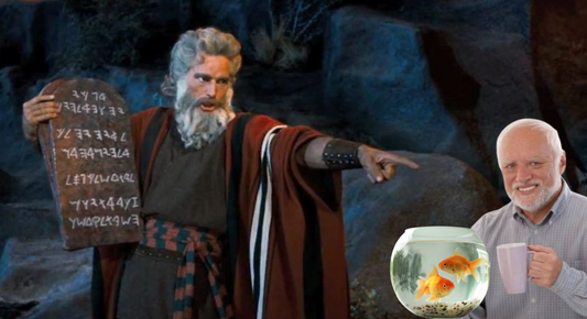 LES 4 REGLES A SUIVRE IMPERATIVEMENT EN AQUARIOPHILIE
