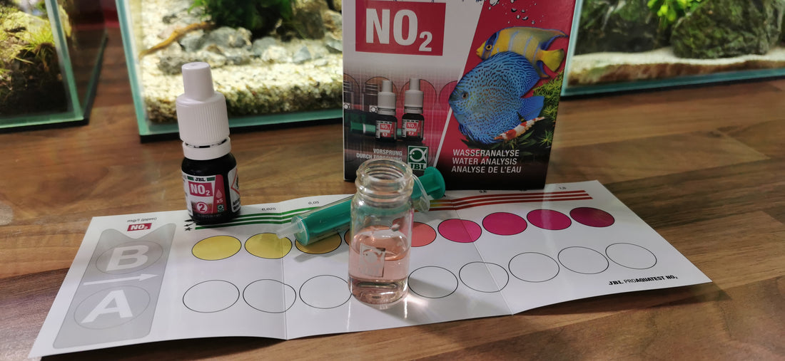 Au secours j'ai des nitrites (No2) que faire?