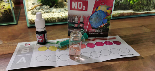 Au secours j'ai des nitrites (No2) que faire?