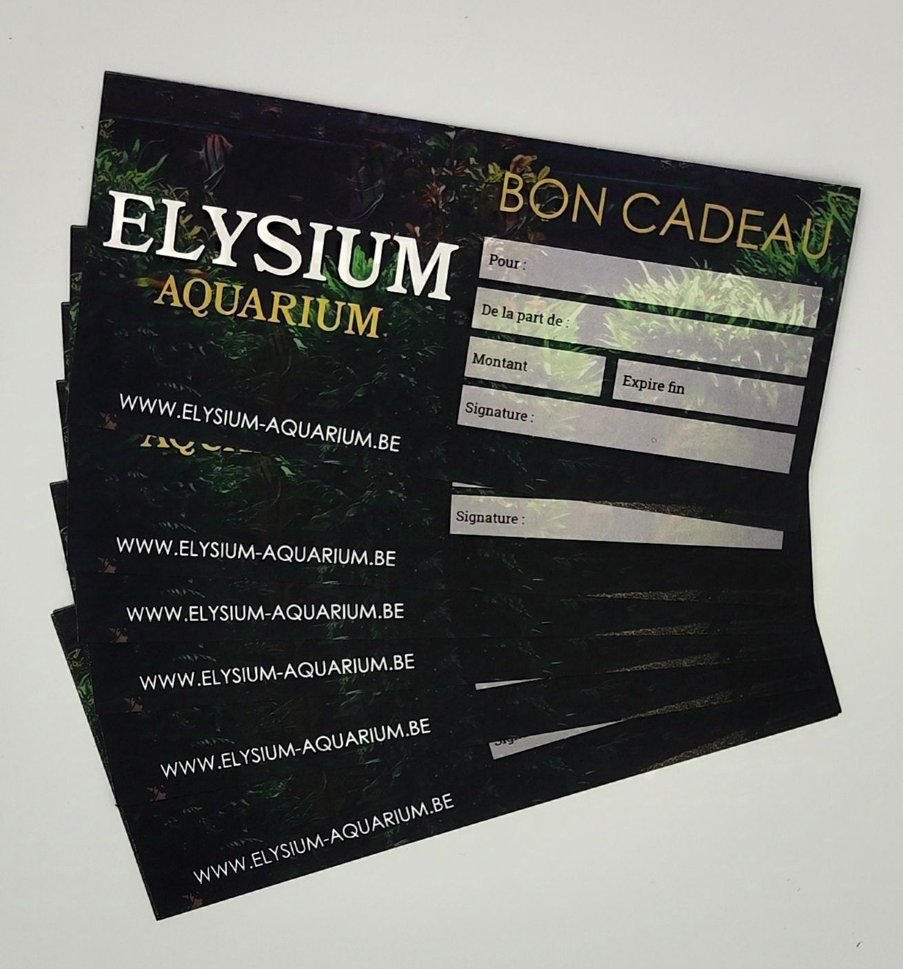 Carte cadeau Elysium Aquarium