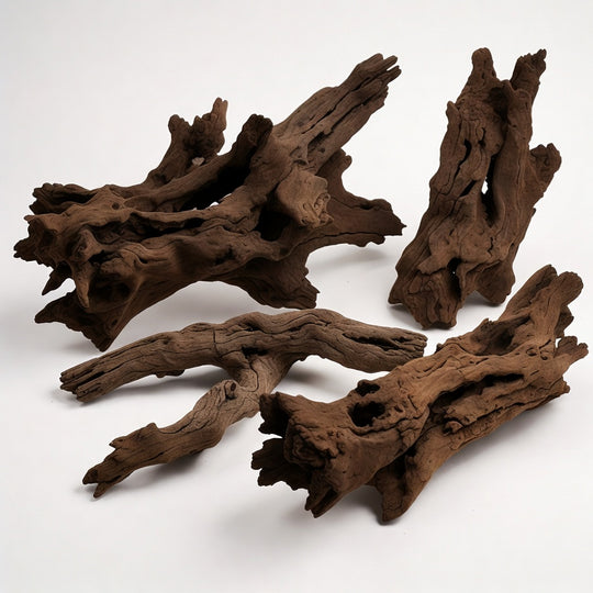 Driftwood / Riverwood