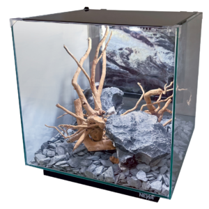 NEWA EGO FULL (avec filtration)