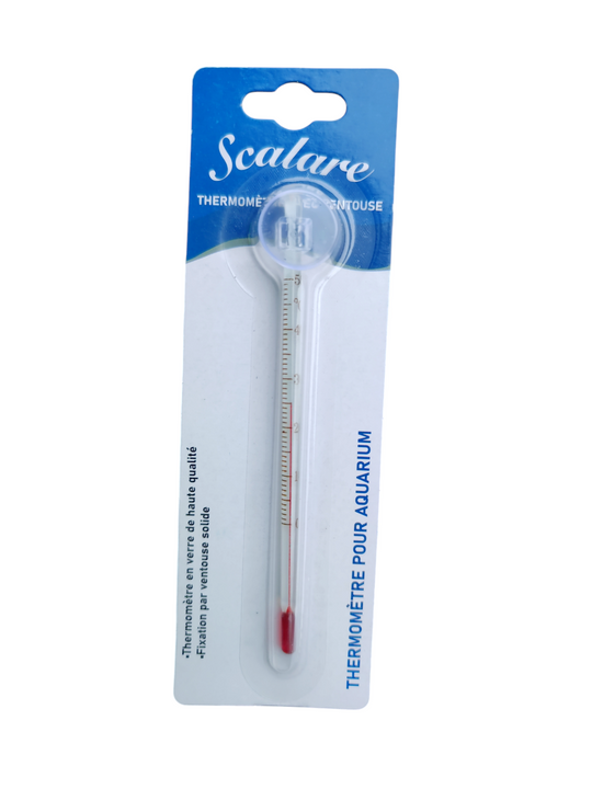 Thermomètre Scalare 15cm