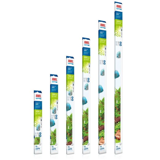 JUWEL HiLite t5 DAY