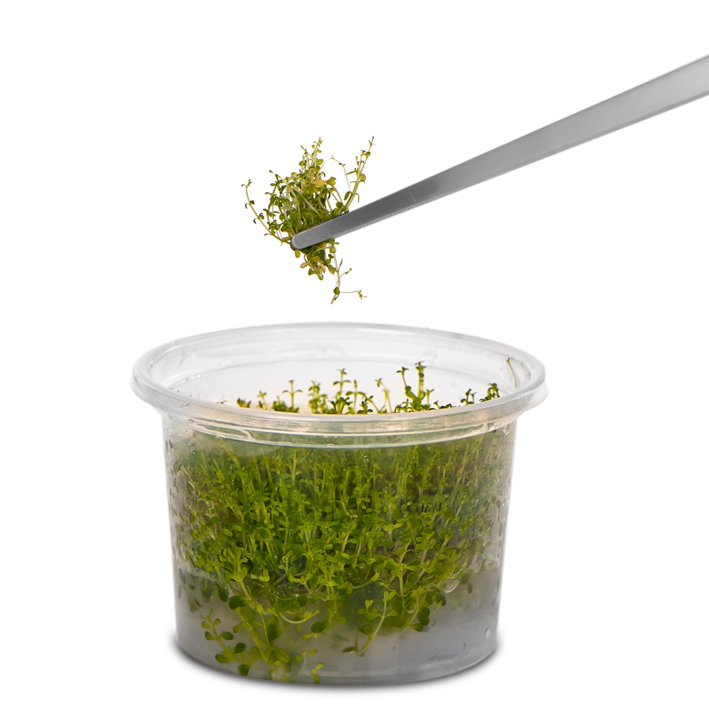 Pince 40cm Kruger Meier