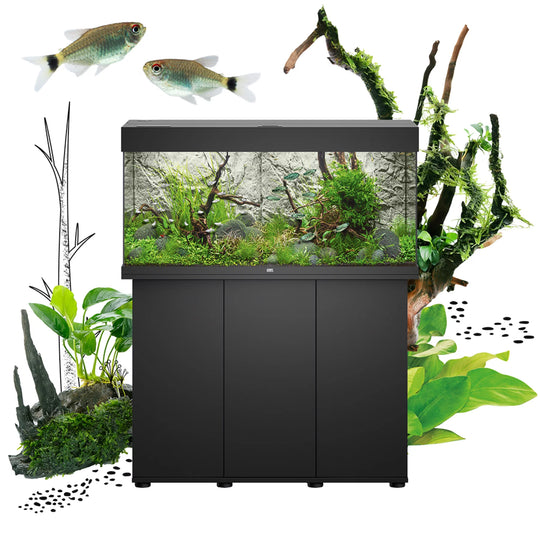 JUWEL Rio de 125l à 450l