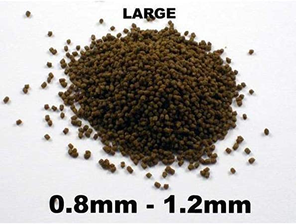 DR. BASSLEER Biofish-food REGULAR