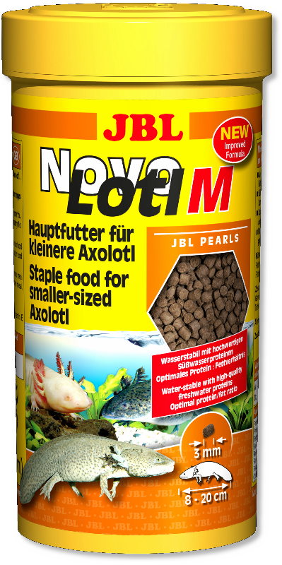 JBL NOVO LOTL M