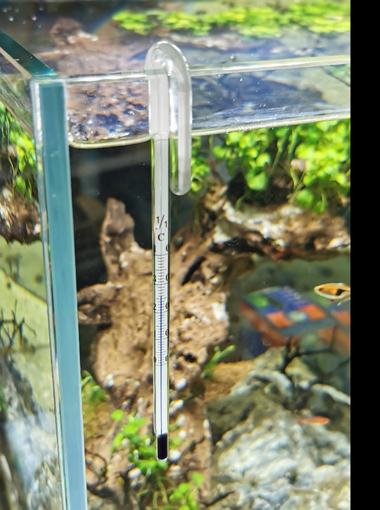 thermomètre T-HANG AquaNova