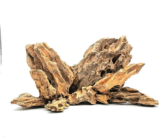 montage dragon stone 35x20