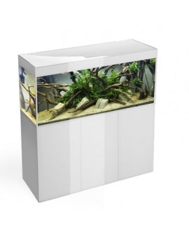 Aquael Glossy