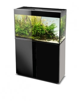 Aquael Glossy