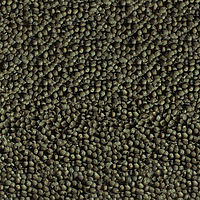 sera Goldy Color Spirulina Nature