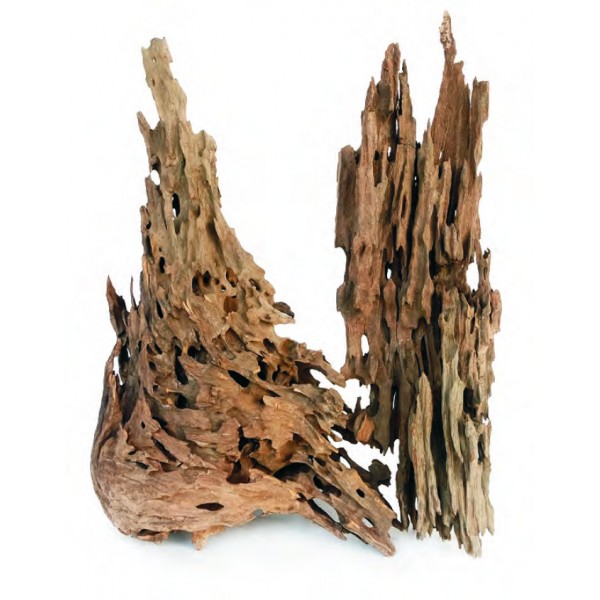 DRAGON WOOD