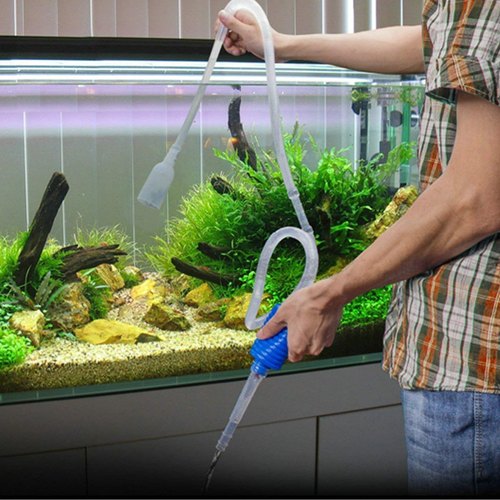 Les changements d'eau en aquarium d'eau douce.