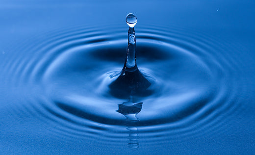 Quelle eau utiliser pour mon aquarium?