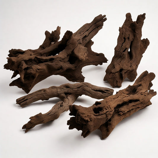Driftwood / Riverwood
