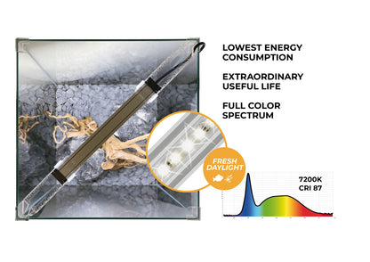 NEWA EGO LID (sans filtration)