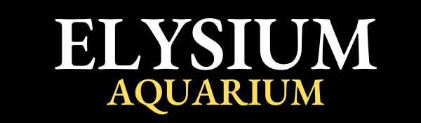 Elysium Aquarium