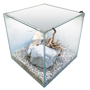 NEWA EGO LID (sans filtration)