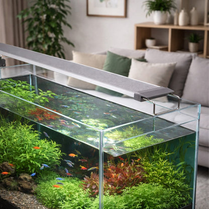 Chihiros W Series W60 — éclairage LED WRGB étanche pour aquarium 55-75 cm