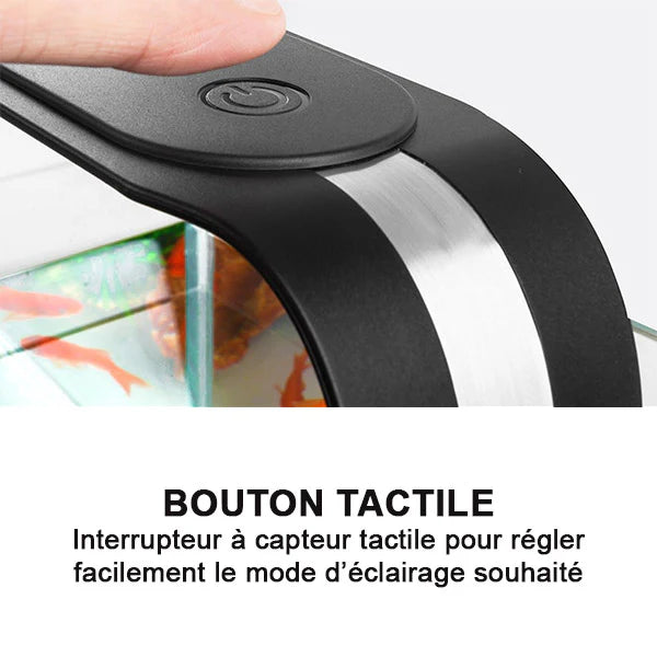 Eclairage LED Day&Night Yaubay