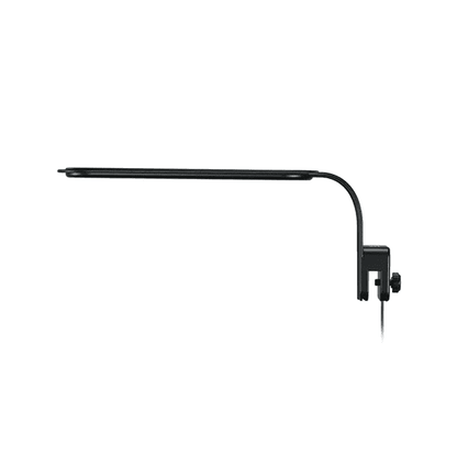 Eclairage LED Day&Night Yaubay