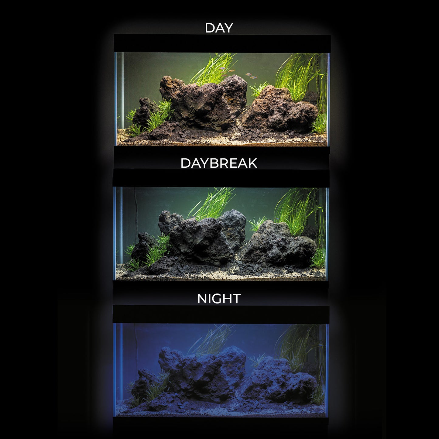 Aquael UltraScape