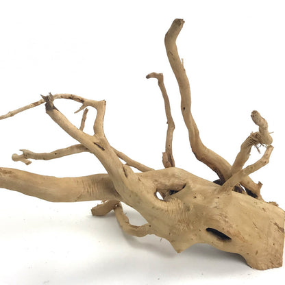 Spider Wood