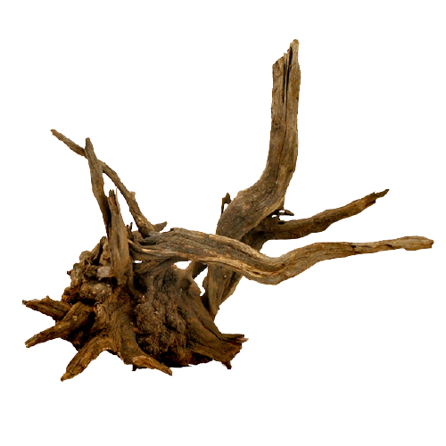 Driftwood