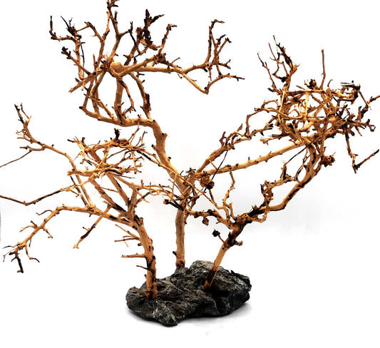 40cmx40cm