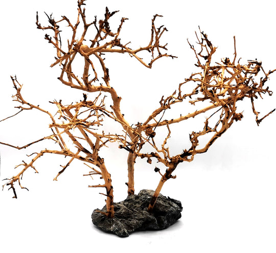 40cmx40cm