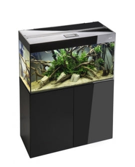 Set Aquael Glossy 100 noir EN STOCK (Réservé)