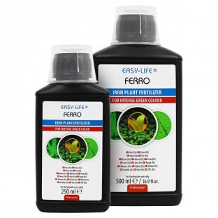 Ferro