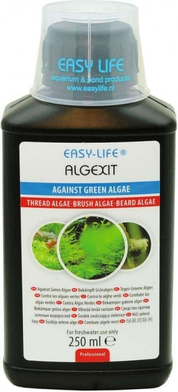 ALGEXIT